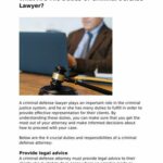 What Do Criminal Defense Lawyers Do?