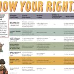 Protecting Your Rights: A Guide to Legal Representation for Teachers